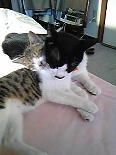 何年ぶりかなぁ