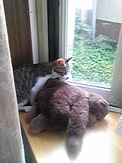 ビックリしたなぁ！