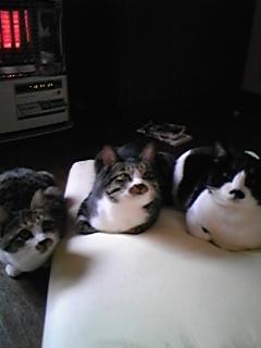 今週の500円ランチ