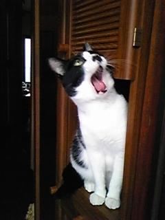 年末年始の営業日