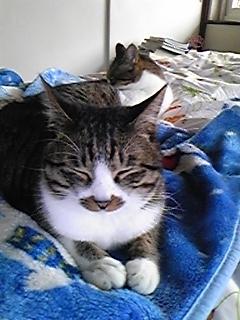 ありがとうございました