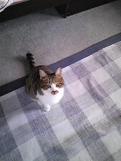 500円ランチ再開