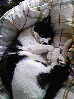 邪魔しないでよ