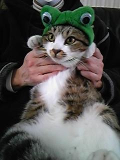 今週の500円ランチ