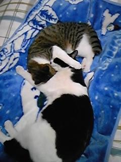 帰って来ました！