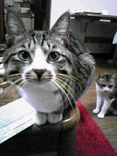 今週のランチ～