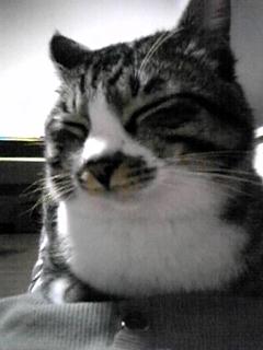 ＧＷ営業のお知らせ