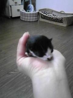 500円ランチ再開