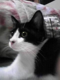 きんたろう帰る…(:_;)