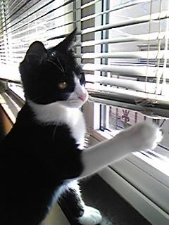 21日は休まず営業(^O^)