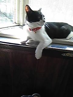 休みません(^-^)