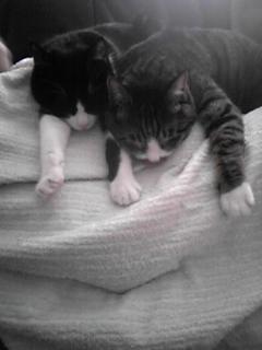 年末年始の営業のお知らせ