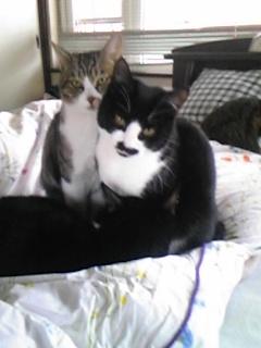 ありがとうございました(^-^)