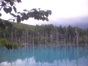 白金温泉“青い池”
