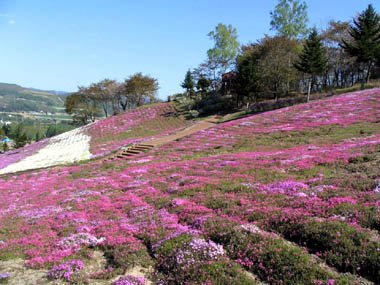 足寄町－里見ガ丘公園