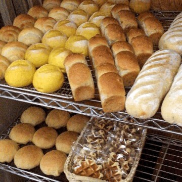 11月10日 本日のパン
