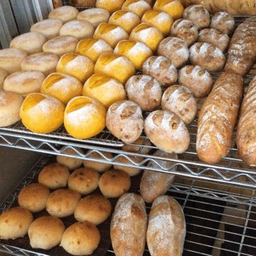 11月25日 本日のパン