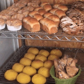 11月22日　本日のパン