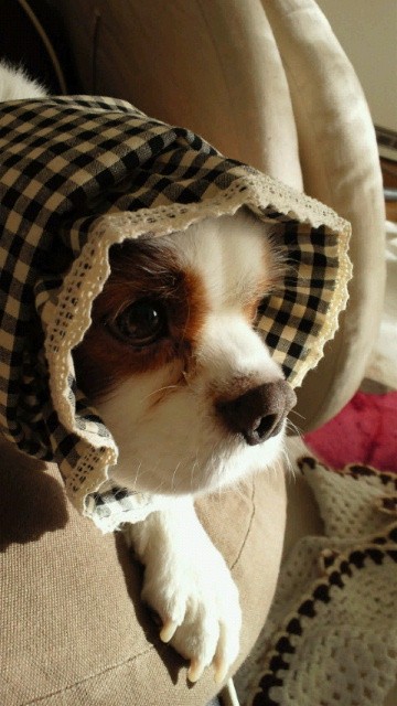 今日のhappy(笑)