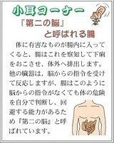 「第2の脳」と呼ばれる腸