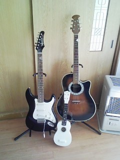 最近の我が子達