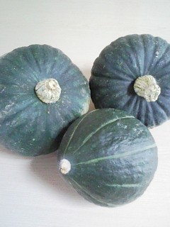 秋だ!カボチャだ!出没情報だ!!