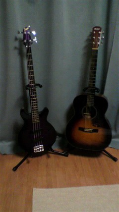 新しい仲間♪再び!!