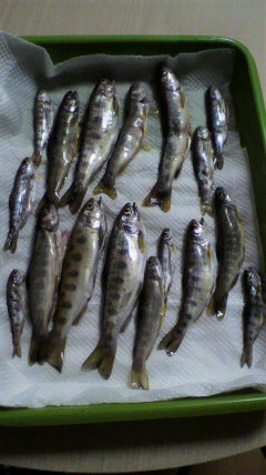 疲れたwww(≧0≦)