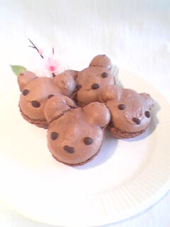 お久しぶりです(^0^)