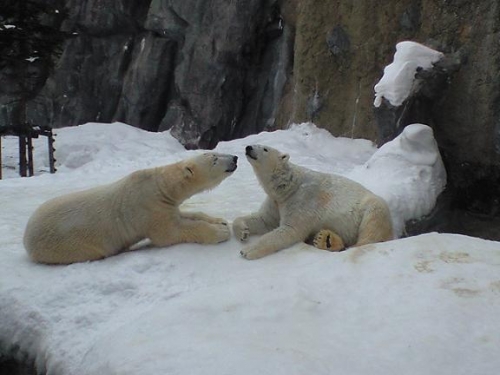 初ブログを書いてみる