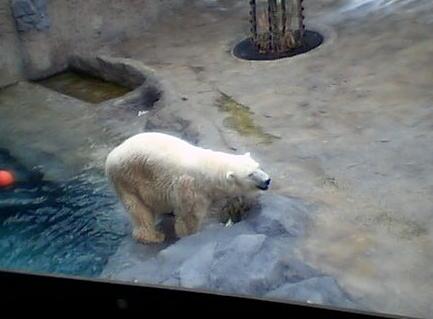 写真を載せてみる