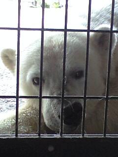 私のお気に入りの１枚