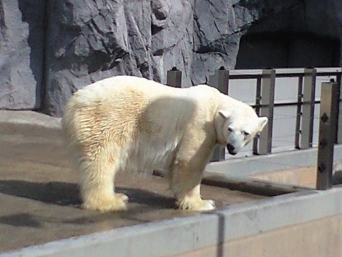 平成２２年９月２９日  ルル