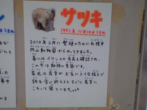 期待してもいいのかな？