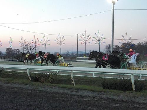 ばんえい競馬が今熱い