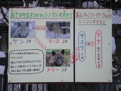 メリーガイド最終日