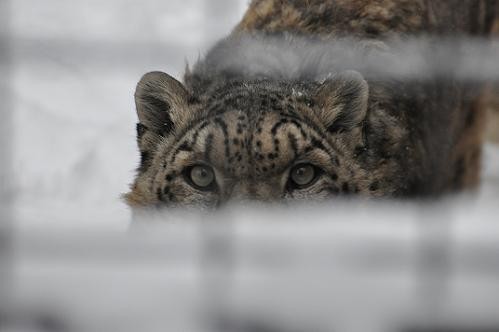 １２月１４日のゴルビー・・・と、いろいろ