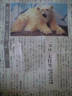 懐かしい写真。サイズ小さすぎるかな？