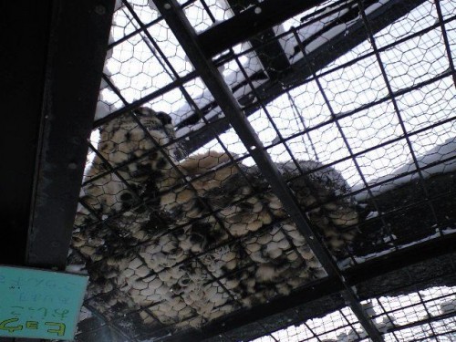 ヤマト上った！