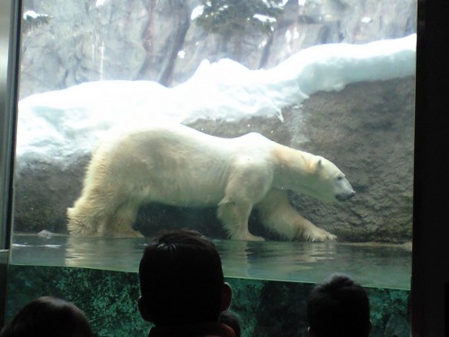 イワンと交代しました
