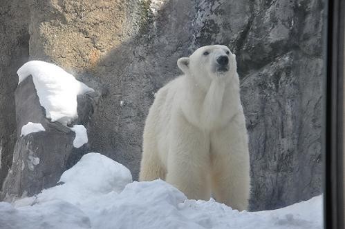 1月28日 サツキのもぐもぐタイム