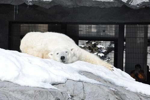 ２月２８日　サツキの岩登り