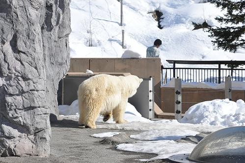 ２月２８日　サツキの動画