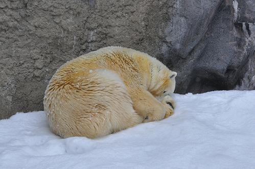 3月5日 ルルちゃ~ん