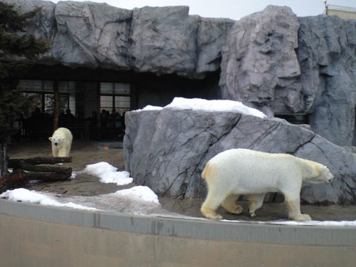 同居してました