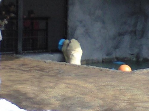 プール遊び中２