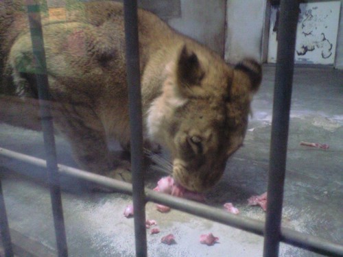 ゆうきのパクパクタイム