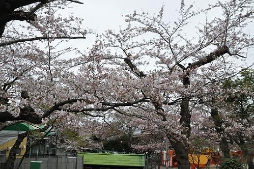 ＧＷ　２泊３日の旅行へ・・・２日目　函館公園・動物舎