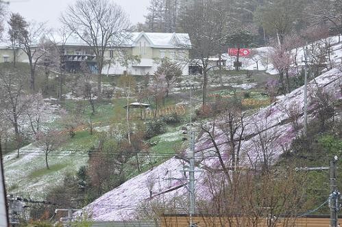 ５月２３日　雪が降りました