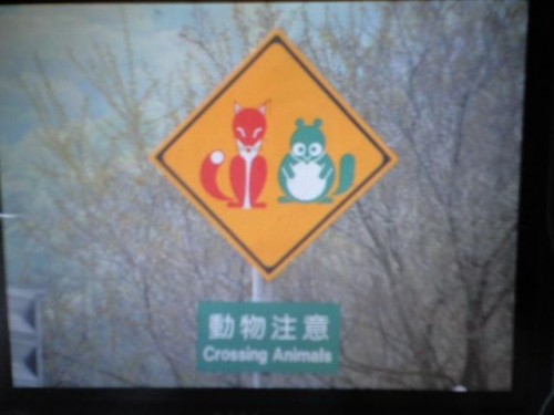 赤いきつねと緑のたぬき